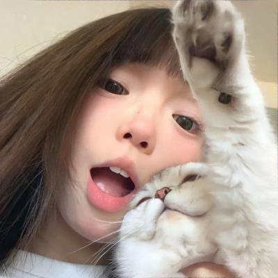 蒲公英